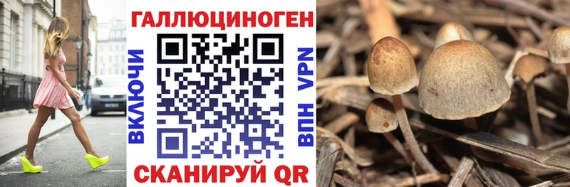Псилоцибиновые грибы MAGIC MUSHROOMS  Купить  Гаврилов Посад 